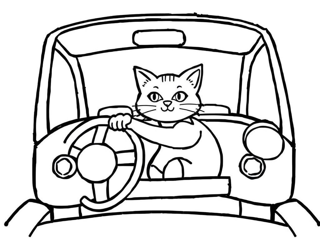 A cat is driving car - Free Printable Coloring Page