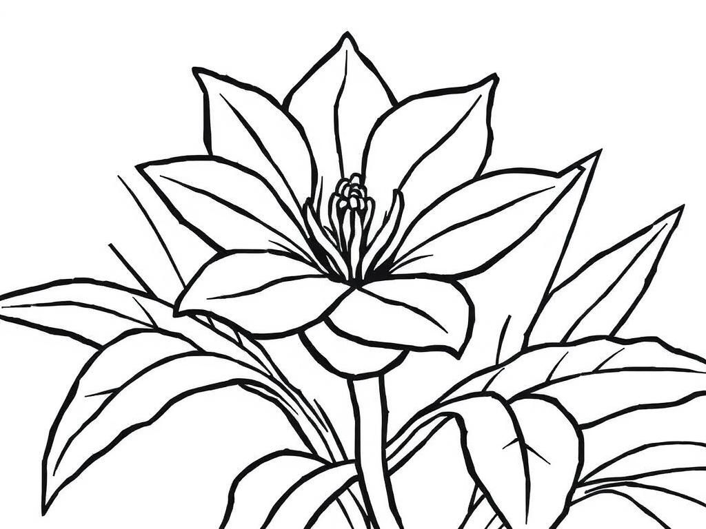 Flower Coloring Page