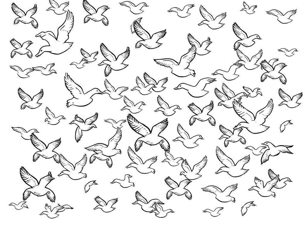 hundreds of ducks flying