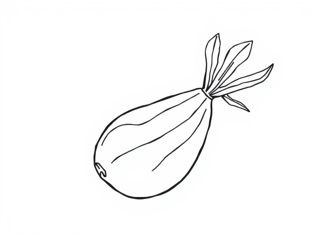 Coloring Page of a Minimalist Onion Illustration